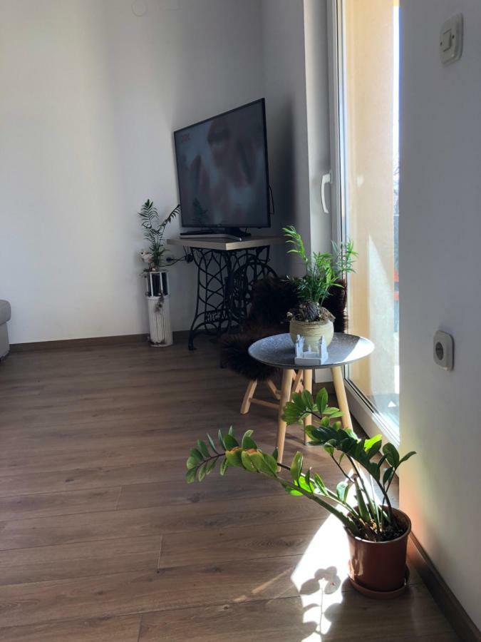 Apartment Viveniti Klenovica Exteriér fotografie